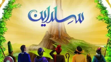 سلداین